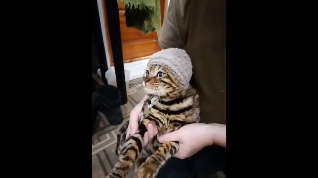 Муся Павловна!