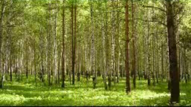 3e01a8b7f50136539ef0f51c2c147628