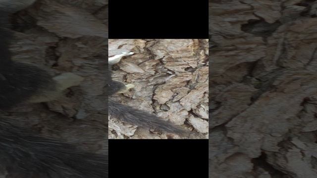 82d276fb136d57ea07ac13face37ad4a