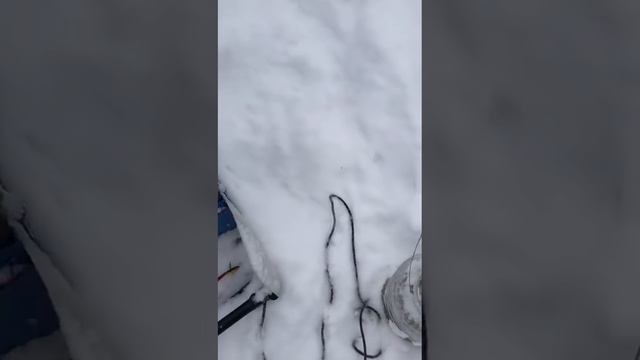 Рыбак и норка ))