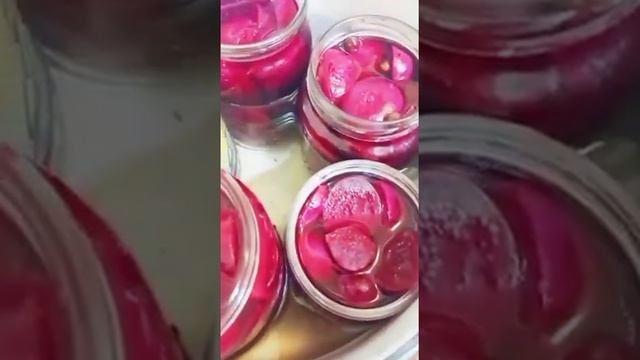 4d7c588a548d45d1a177c76eef519741