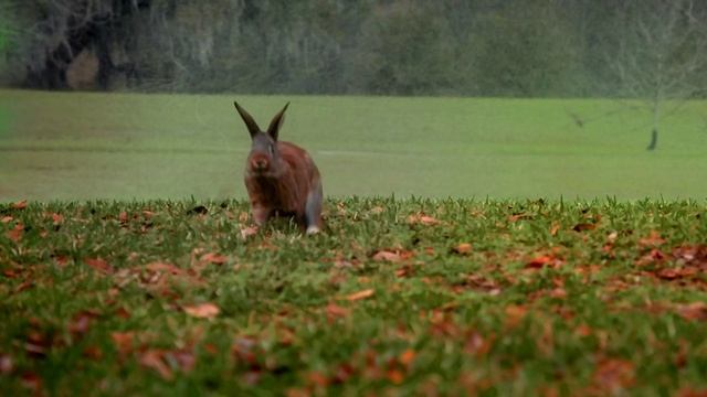 23392fe3578f3b2253a9df122606bc2b