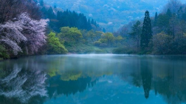 Музыка для сна. 1 час расслабляющей музыки. Спокойная музыка для медитации. Музыка  от бессонницы.