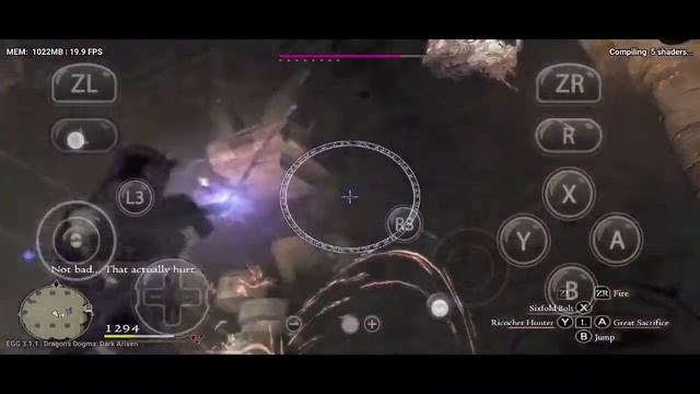 Egg NS V3.1.1 Setting & Test Game Dragon Dogma Dark Arisen On Android Poco X3 Pro 6gb Ram SD 860