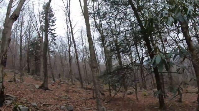 Dolly Sods 2019 Expedition 3