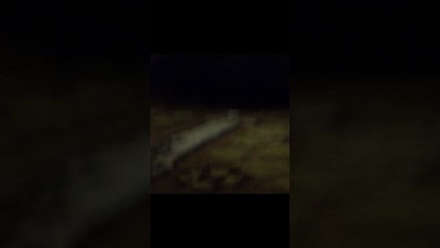 А сегодня я побывал в стране монстров.3gp