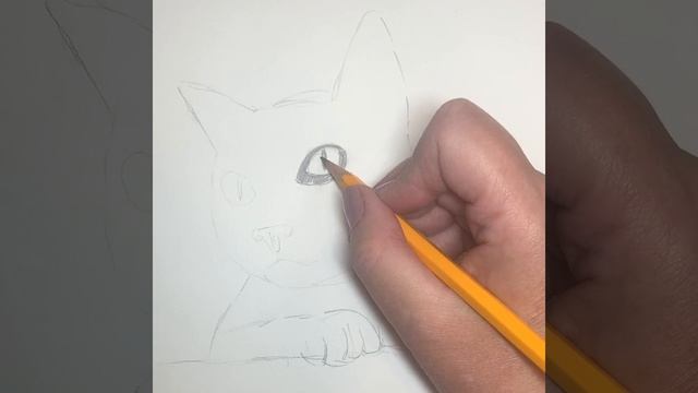 RLP01 Pencil Drawing Like A Pro