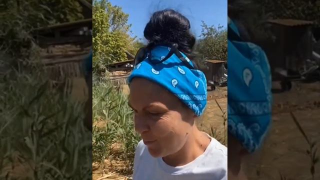 Откуда берём древесину?