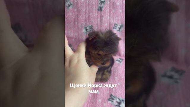 C1367131db14525cd4c43d687ddc61f1