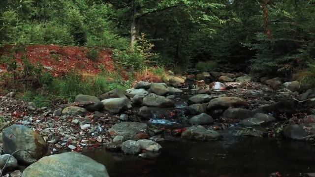 Волшебный сон # 4 Позвольте окружающим дарить вам любовь !