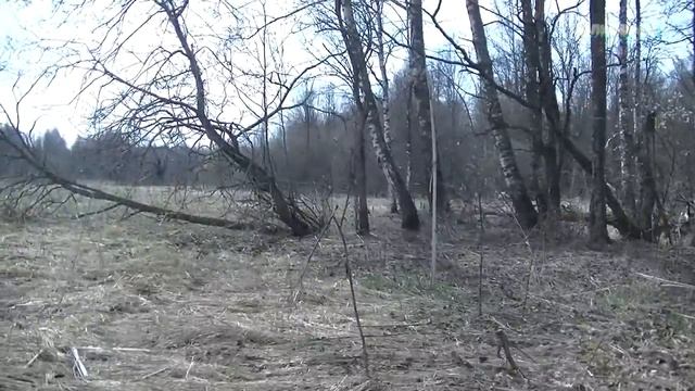 B84b43b6750c52b966b2029697cc6221