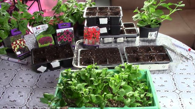 6a9b9ba83953c3ef19ac2bc71e87cffa