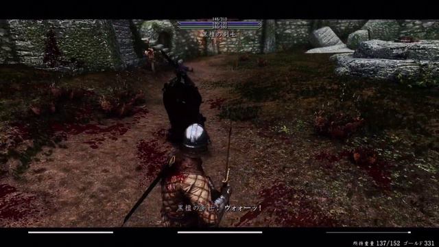 【Skyrim SE】 MORDHAU Style Parry System 4.1