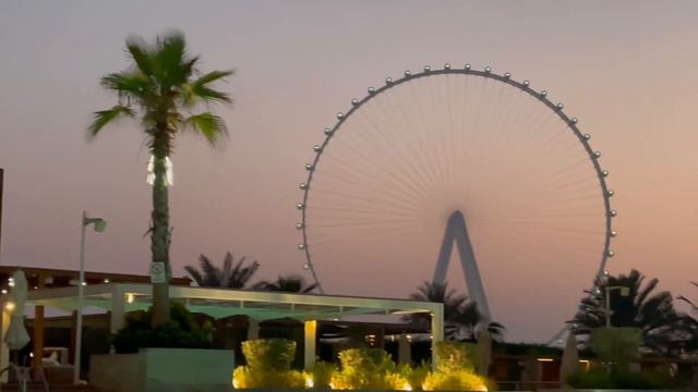 Dubai Vlog / Inkara