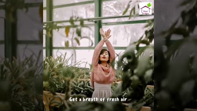 India's Favourite Online Plant Nursery