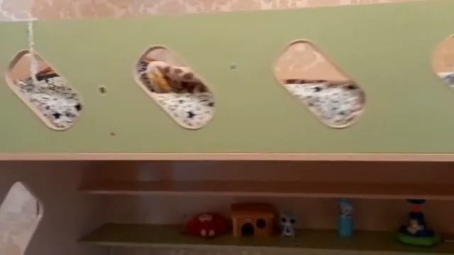 Видеоотзыв о двухъярусной кровати Формула мебели Дельта 20.01