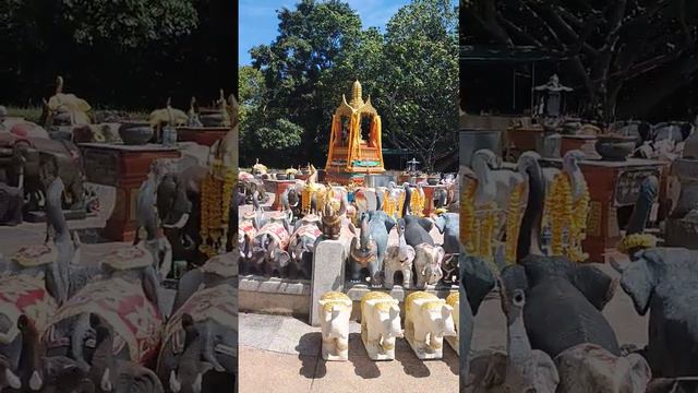 Слоники, слоники, слоники