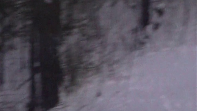 Staritsa-progulka-k-ledyanoj-peshere-kamenolomny