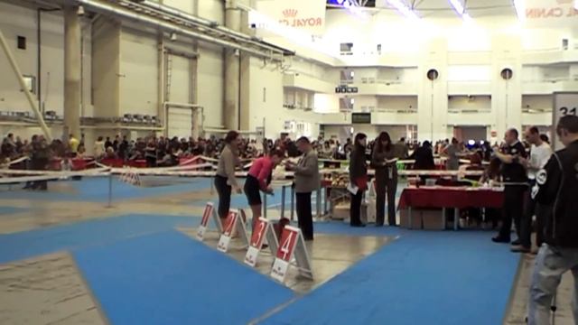 22.04.2012 FCI CACIB 