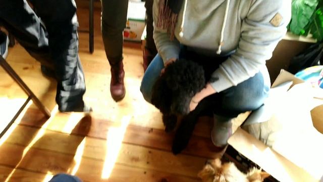 ВСНК. Закрытие зимника.