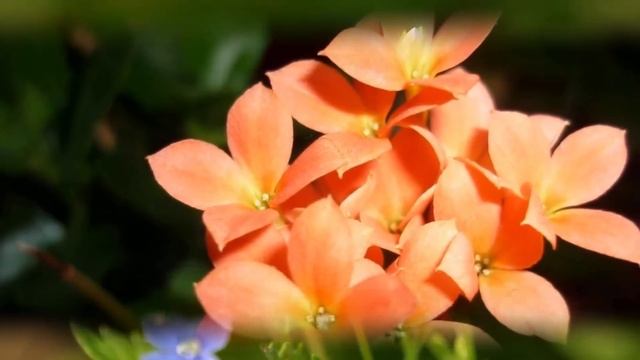 Эту музыку можно слушать вечно ! Лучшее Сборник КРАСИВОЙ музыки для души !!! Музыка Сергея Чекалина