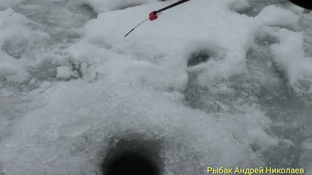1 Января Рыбалка!Деревня Ликино Щедрино.Рыбак Андрей Николаев.Ловим окуня на безмотылку.