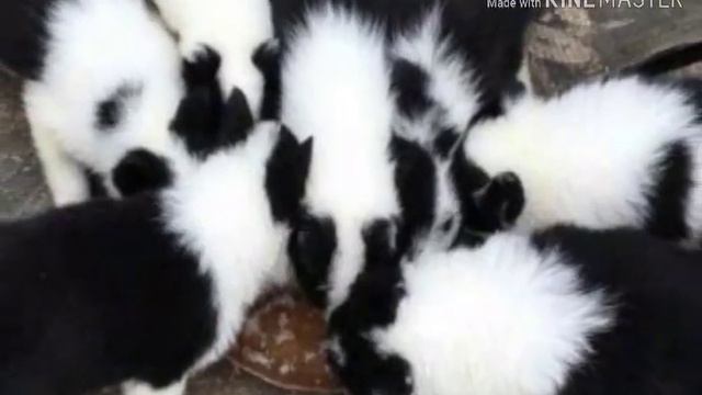 Знакомство 🌚🚬