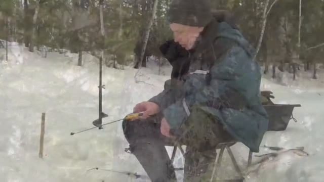 Радость рыбака - много чебака!  Весенняя рыбалка в ХМАО  Ловим на ручье  Подледный лов