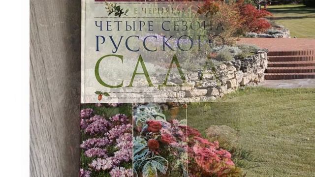 5 минут на PRO-движение книг 