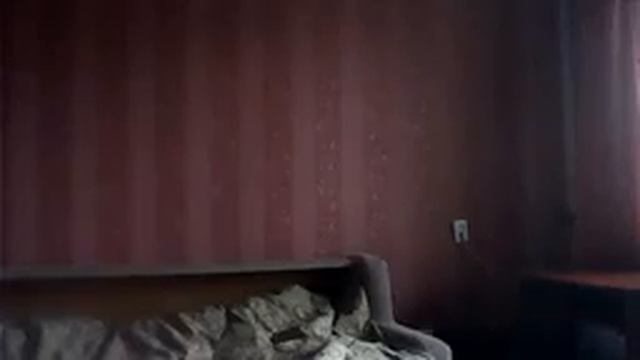 Видео с веб-камеры-SONY. Дата: 5 декабря 2012 г., 10:03.