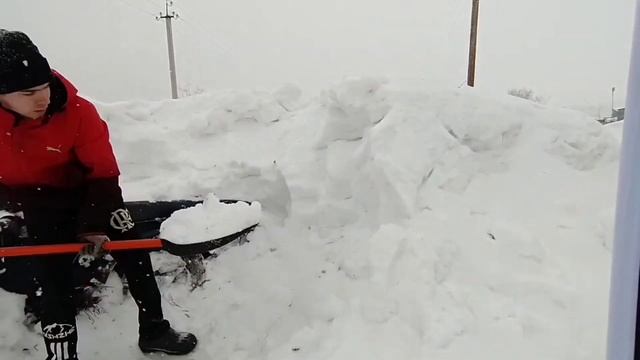 Откапываю АЗЛК Москвич 2141 (Святогор) Часть первая