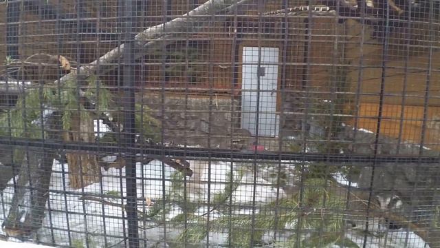 Ленинградский зоопарк часть 3