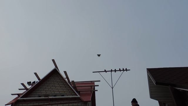 В гостях у Одуда Станислава Васильевича. Часть 5