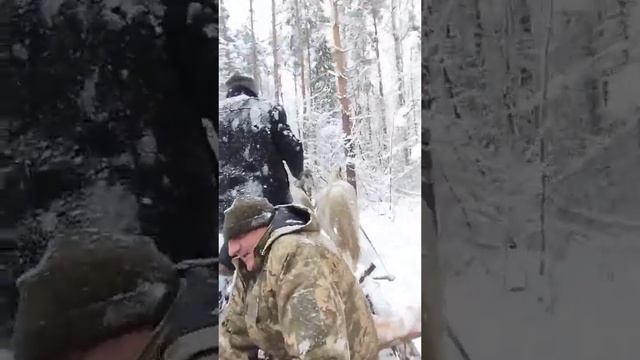 C4cd9015c6ea1a85b55d238a7b703e2b