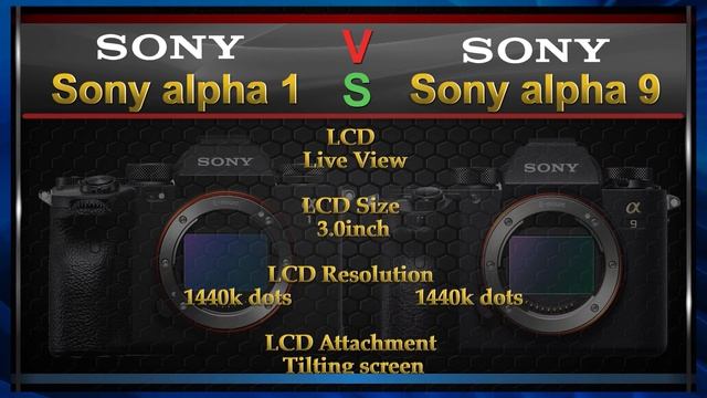 Sony Alpha1 Vs Sony Alpha 9 Comparison Video (Spec Comparison)