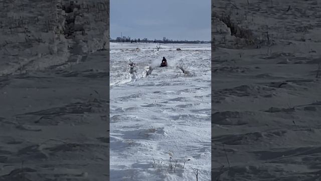 Ripping Through The Cattails