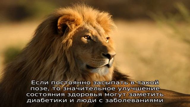 Полезно ли спать на левом боку