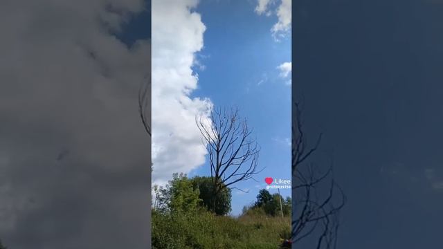 5c097ce0287ecca5a2eee88658d80bde