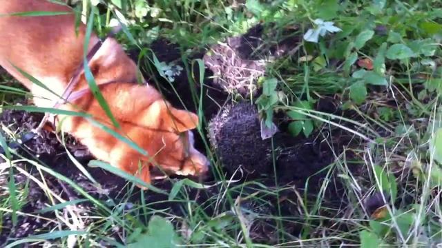 220c3a37e9001c8a195203bea27d85b1