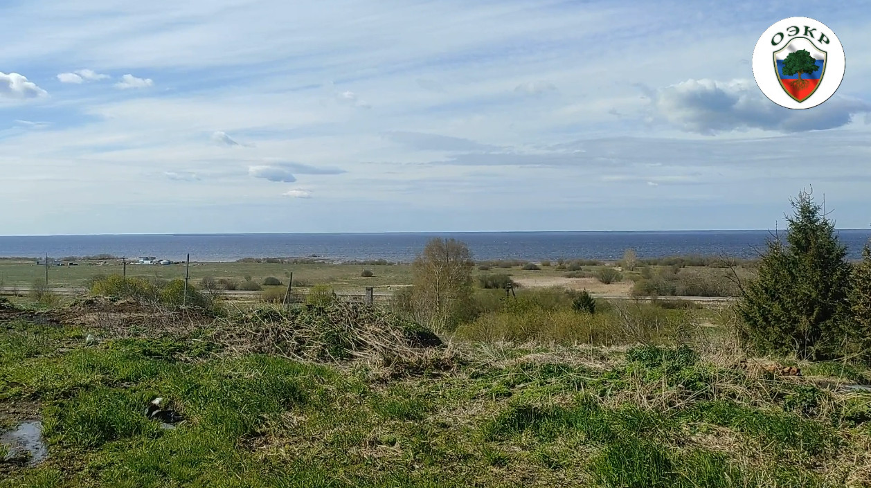 МУТНЫЕ ВОДЫ. МЯКСА