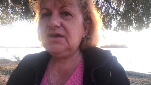 Почему вы любите больше кошек ? Психосоматика!