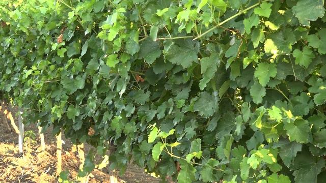 90116d30b9236512d928ec6b7941225d