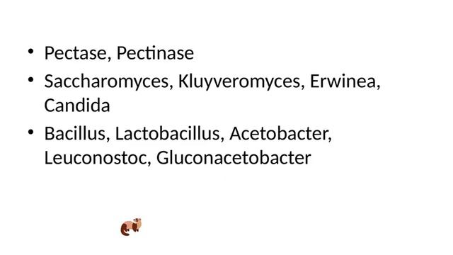 Arizona Sonoran Food Fermentation By Mark Lewis