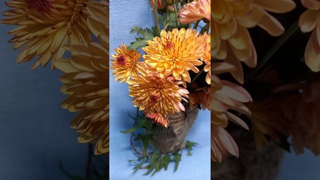 1317bc662c2930b31bb9e5d59942823c