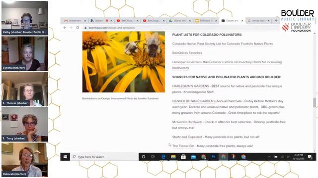 BeeChicas: Pollinator Field Journals