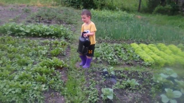 590cfa4ea4477b31b24a5cc75d6c3404