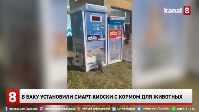 В Баку установили смарт-киоски с кормом для животных