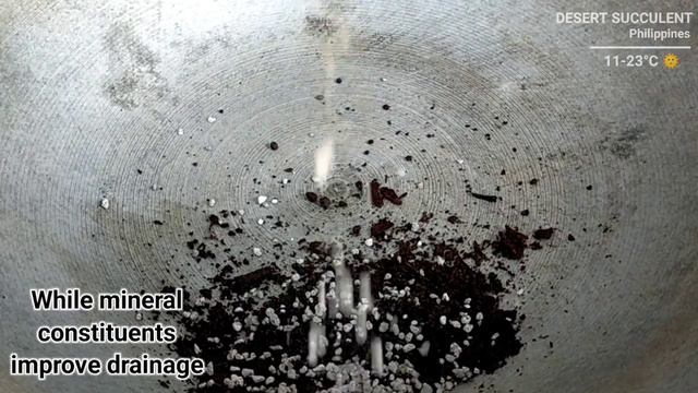 How To Make Cactus & Succulent Soil Mix At Home | 다육식물 | 多肉植物 | Suculentas