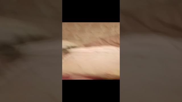 спалил лицо