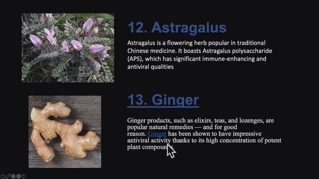 1:  Астрагал  Имбирь